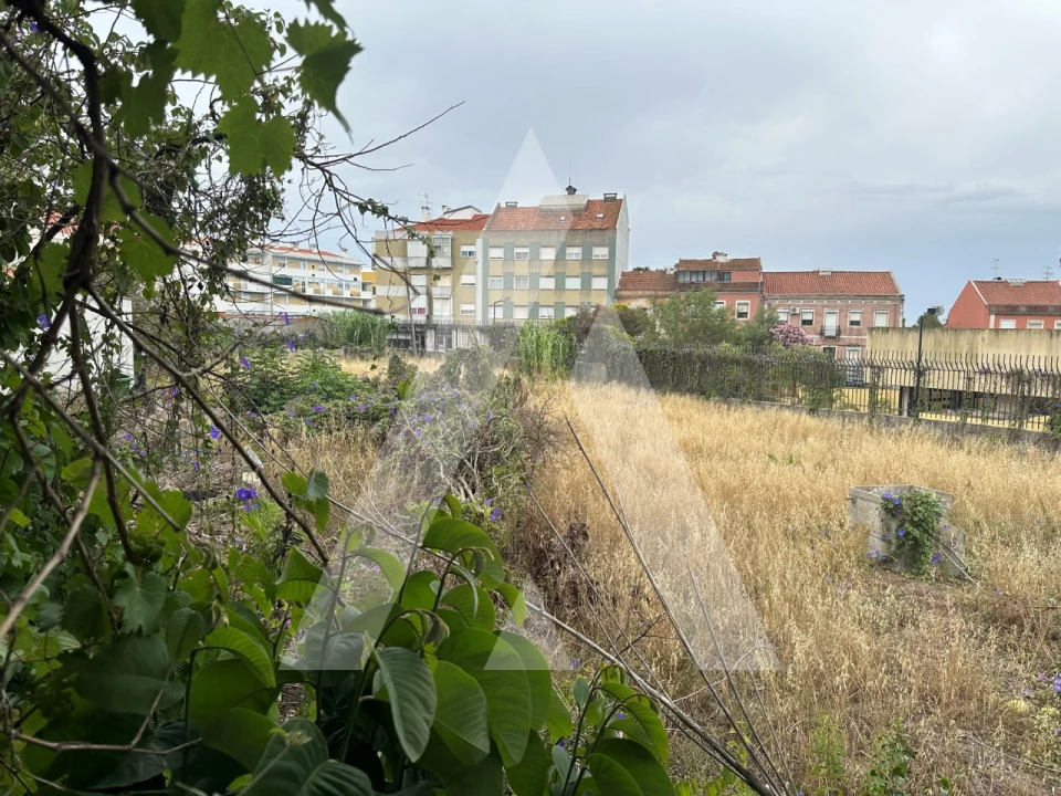 Terreno para Venda em Ajuda Foto 5