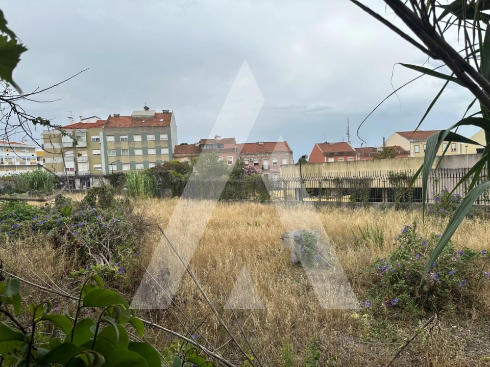 Terreno para Venda em Ajuda Foto 8