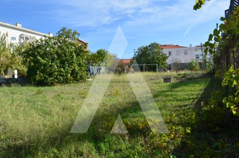 Terreno para Venda em Ajuda Foto 2