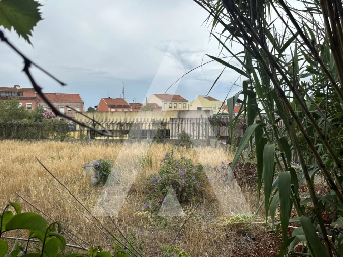 Terreno para Venda em Ajuda Foto 6