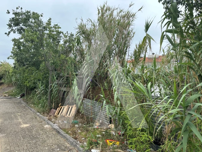Terreno para Venda em Ajuda Foto 7