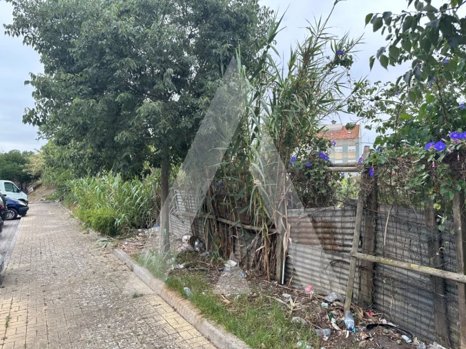 Terreno para Venda em Ajuda Foto 9