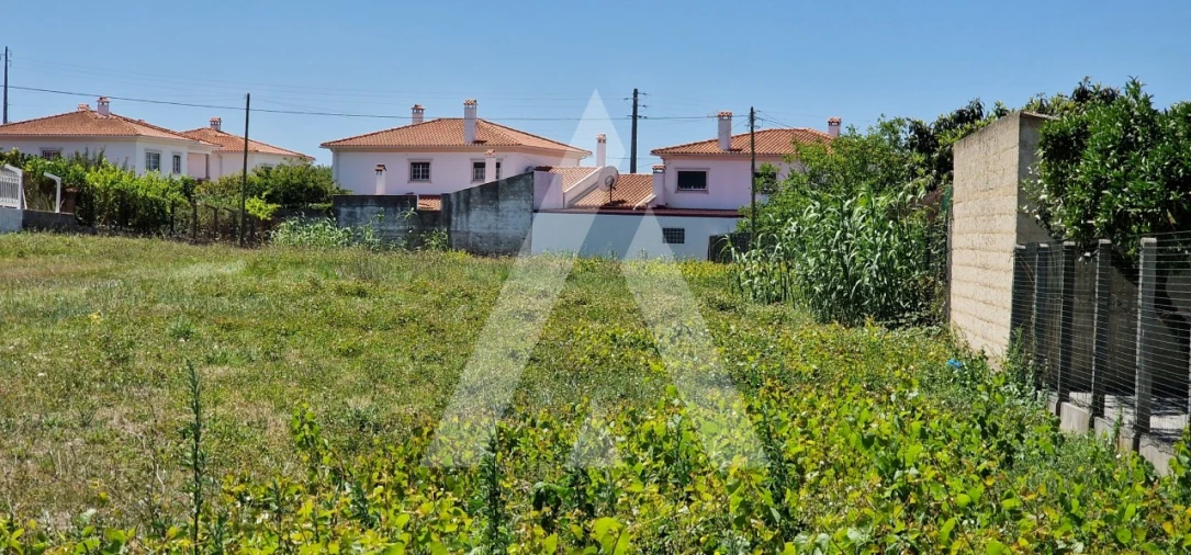 Terreno para Venda em Marrazes e Barosa Foto 7