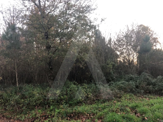 Terreno para Venda em Valongo do Vouga