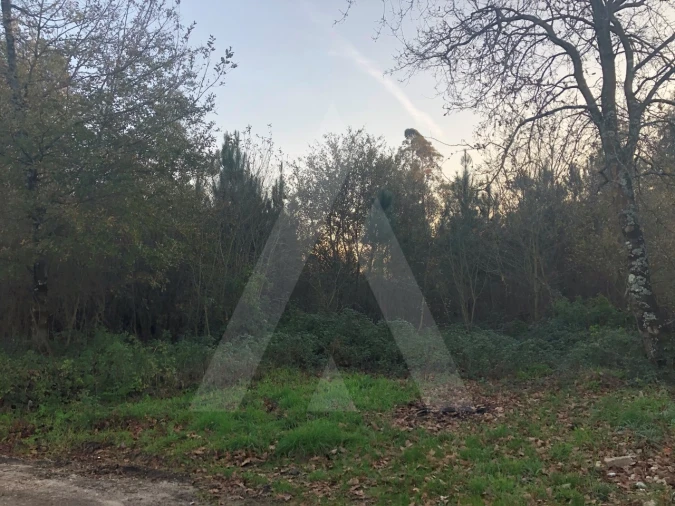 Terreno para Venda em Valongo do Vouga Foto 2
