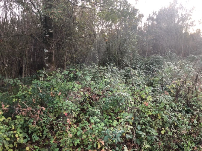 Terreno para Venda em Valongo do Vouga Foto 6