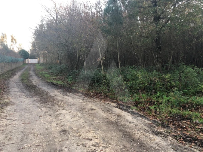 Terreno para Venda em Valongo do Vouga Foto 8