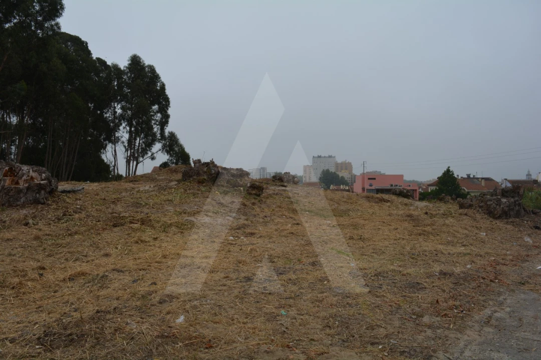 Terreno para Venda em Ovar, São João, Arada e São Vicente de Pereira Jusã Foto 1