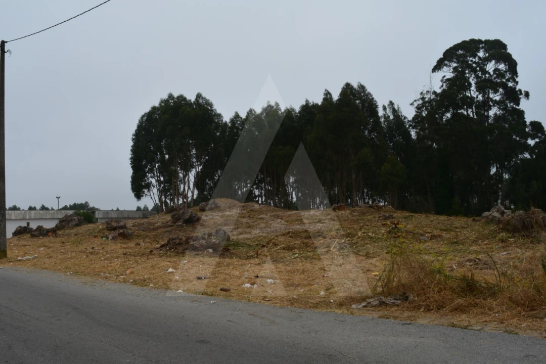 Terreno para Venda em Ovar, São João, Arada e São Vicente de Pereira Jusã Foto 2