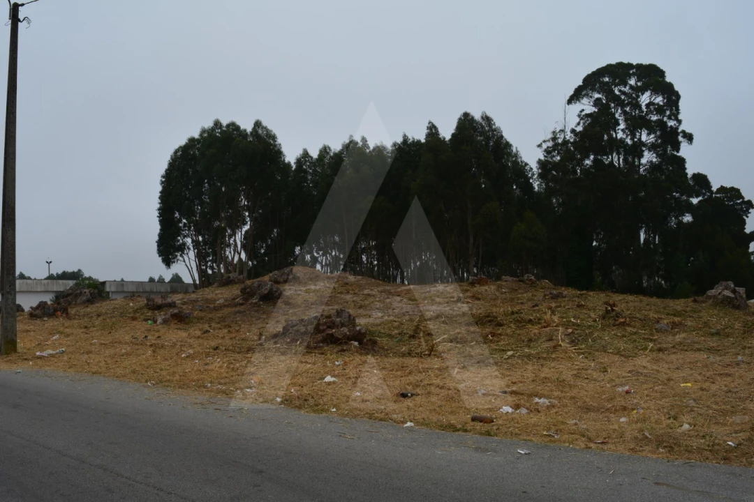 Terreno para Venda em Ovar, São João, Arada e São Vicente de Pereira Jusã Foto 3