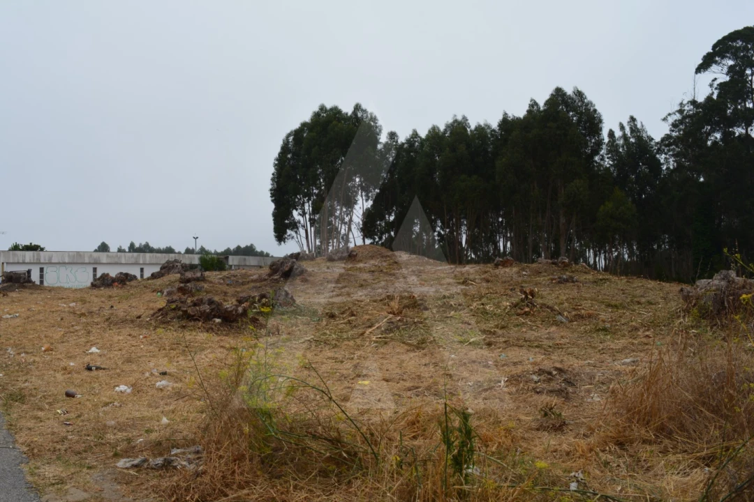 Terreno para Venda em Ovar, São João, Arada e São Vicente de Pereira Jusã Foto 4
