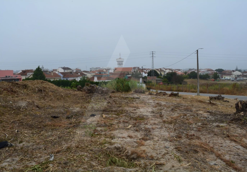 Terreno para Venda em Ovar, São João, Arada e São Vicente de Pereira Jusã Foto 7