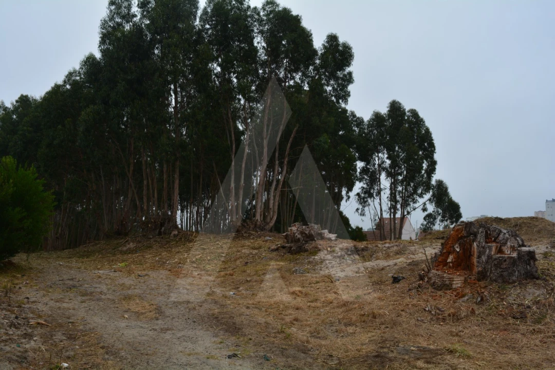 Terreno para Venda em Ovar, São João, Arada e São Vicente de Pereira Jusã Foto 13