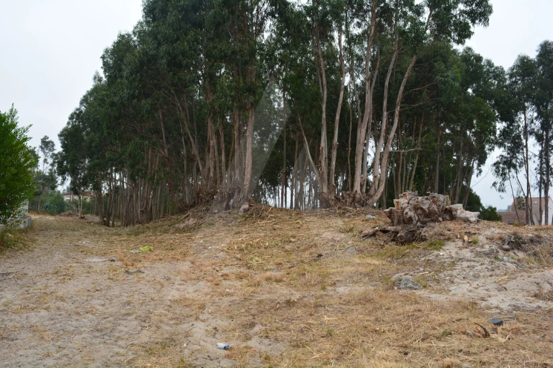 Terreno para Venda em Ovar, São João, Arada e São Vicente de Pereira Jusã Foto 14