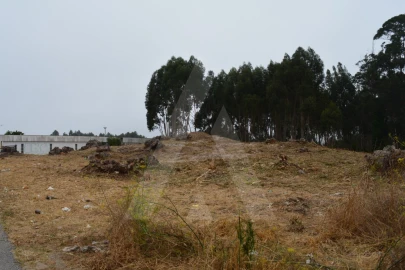 Terreno para Venda em Ovar, São João, Arada e São Vicente de Pereira Jusã