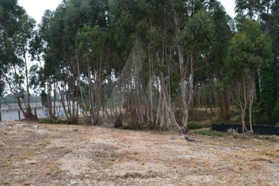 Terreno para Venda em Ovar, São João, Arada e São Vicente de Pereira Jusã