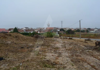 Terreno para Venda em Ovar, São João, Arada e São Vicente de Pereira Jusã