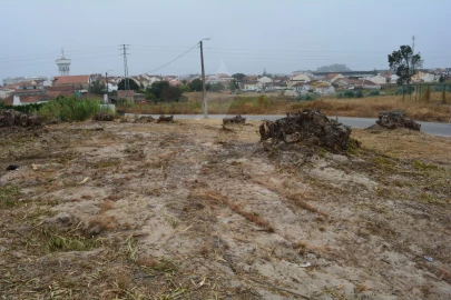 Terreno para Venda em Ovar, São João, Arada e São Vicente de Pereira Jusã