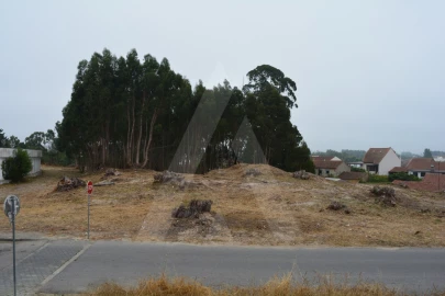 Terreno para Venda em Ovar, São João, Arada e São Vicente de Pereira Jusã