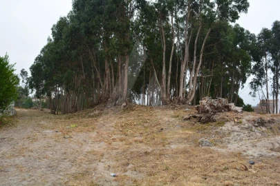 Terreno para Venda em Ovar, São João, Arada e São Vicente de Pereira Jusã