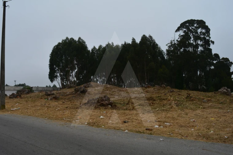 Terreno para Venda em Ovar, São João, Arada e São Vicente de Pereira Jusã Foto 3