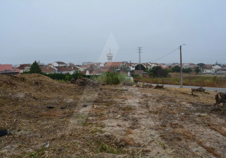 Terreno para Venda em Ovar, São João, Arada e São Vicente de Pereira Jusã Foto 7