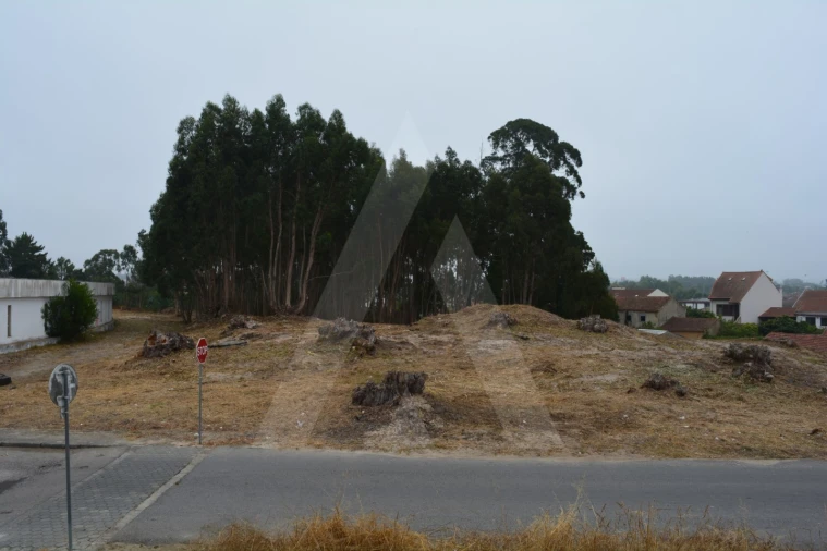 Terreno para Venda em Ovar, São João, Arada e São Vicente de Pereira Jusã Foto 10