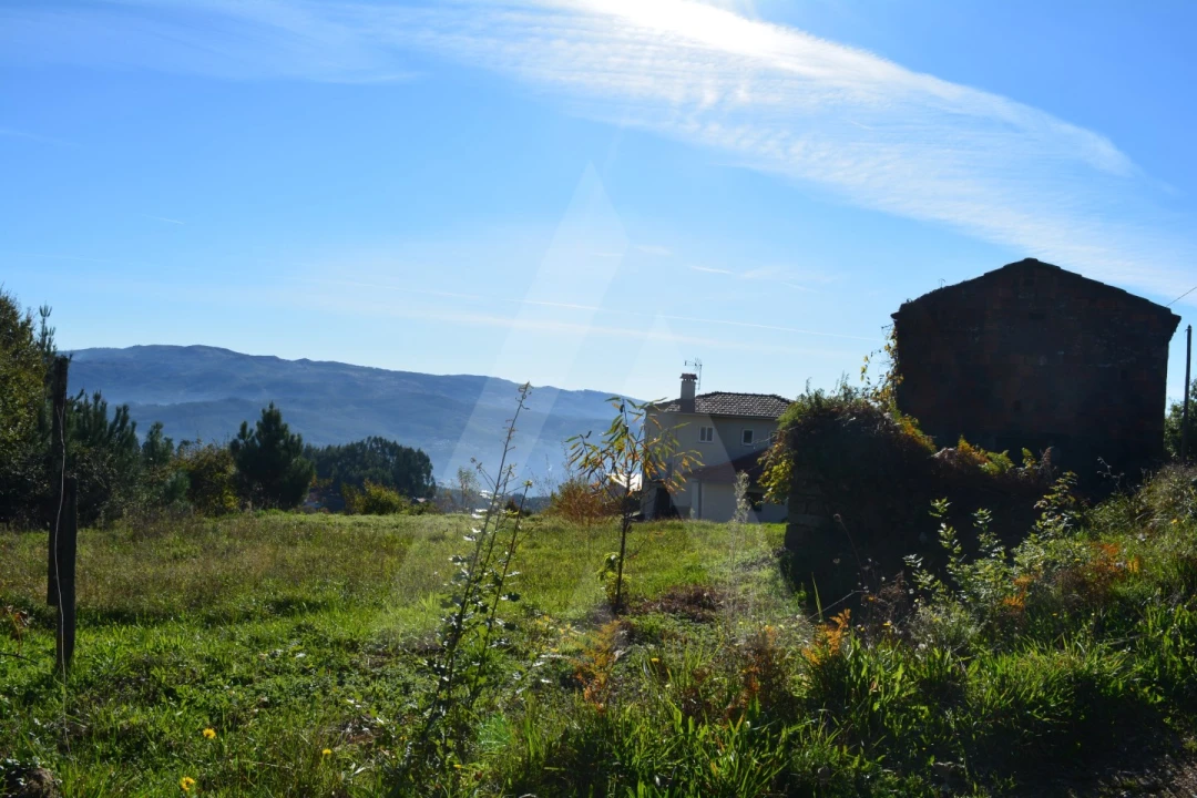 Terreno para Venda em Rocas do Vouga Foto 3
