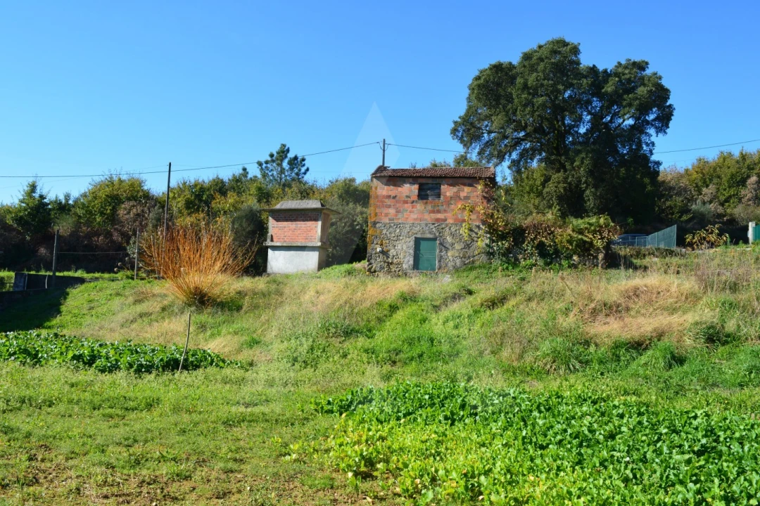 Terreno para Venda em Rocas do Vouga Foto 2