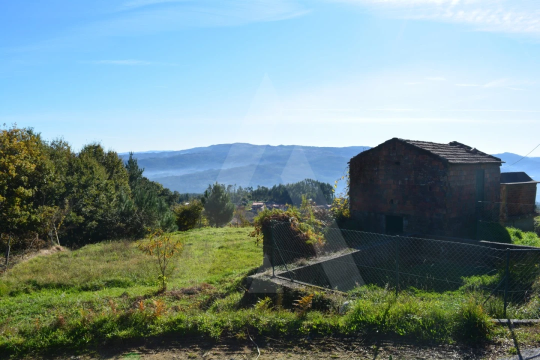 Terreno para Venda em Rocas do Vouga Foto 4