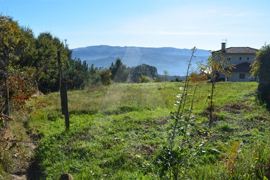 Terreno para Venda em Rocas do Vouga Foto 1