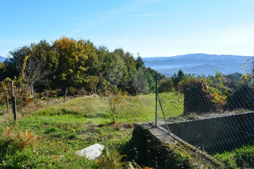 Terreno para Venda em Rocas do Vouga Foto 6