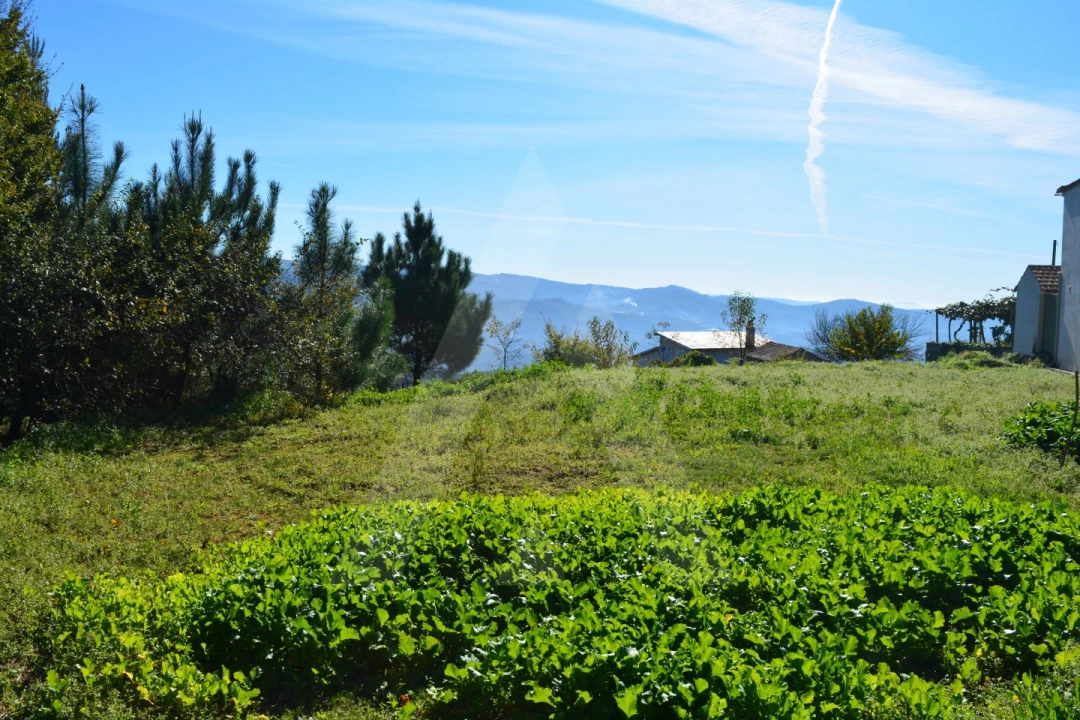 Terreno para Venda em Rocas do Vouga Foto 7