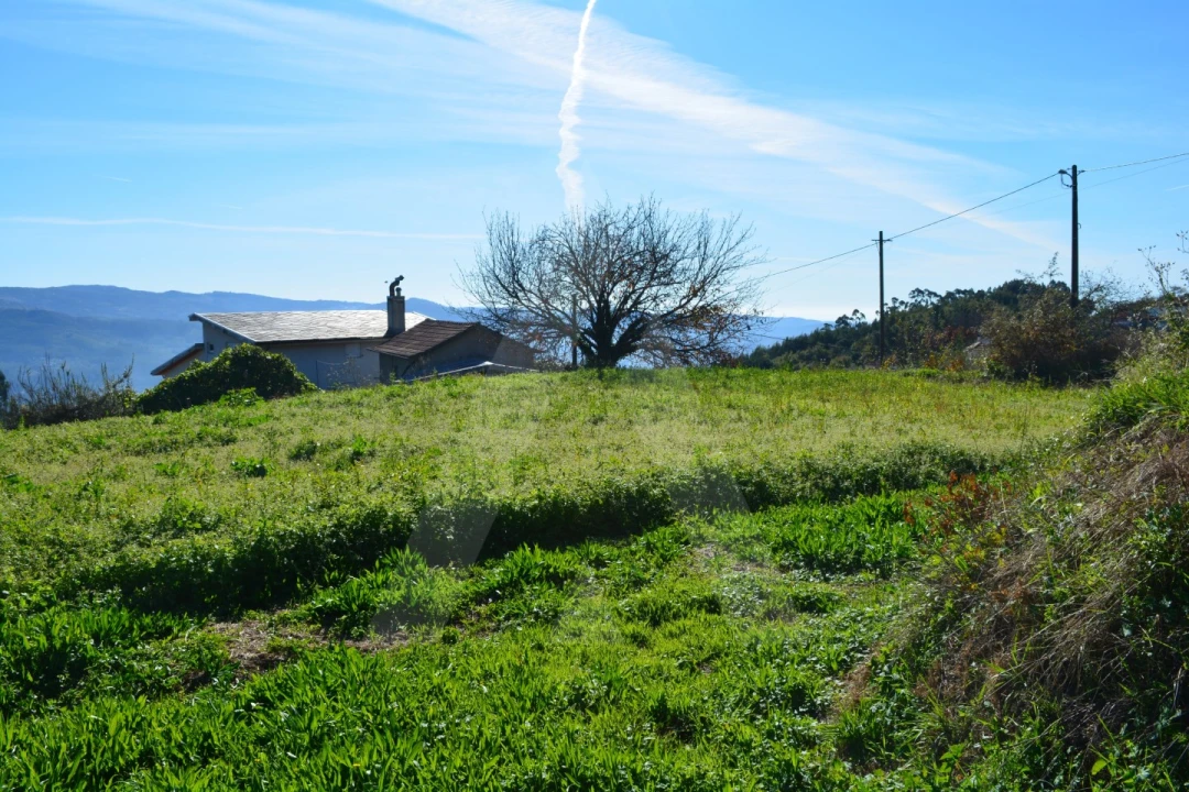Terreno para Venda em Rocas do Vouga Foto 10