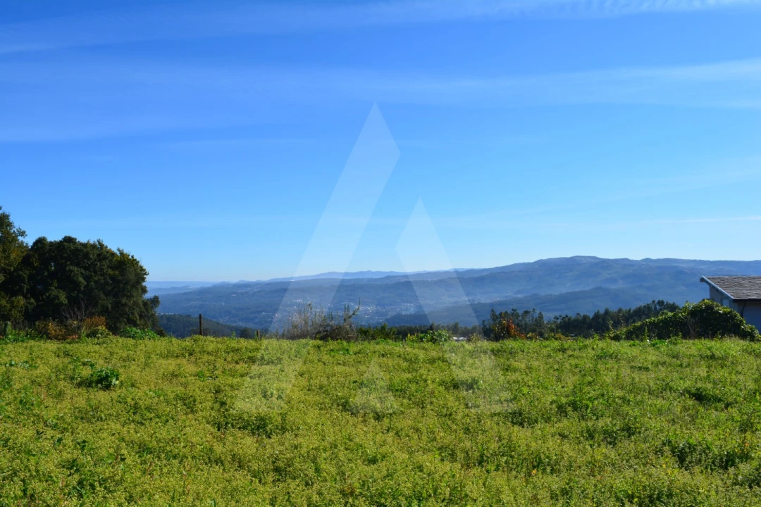 Terreno para Venda em Rocas do Vouga Foto 14