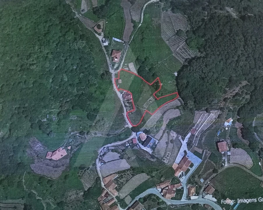 Terreno para Venda em Rocas do Vouga Foto 20