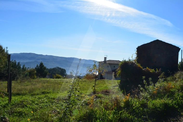 Terreno para Venda em Rocas do Vouga Foto 3