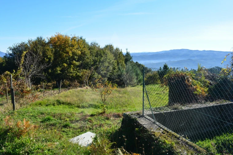 Terreno para Venda em Rocas do Vouga Foto 6