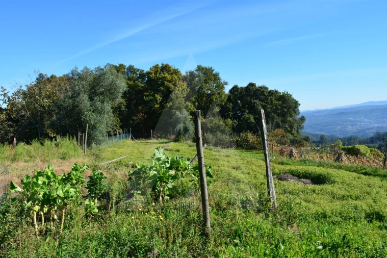 Terreno para Venda em Rocas do Vouga Foto 8