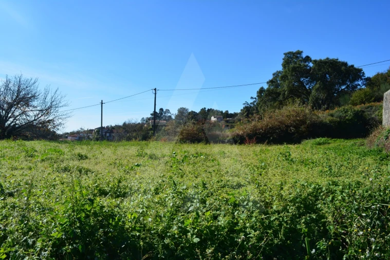 Terreno para Venda em Rocas do Vouga Foto 9