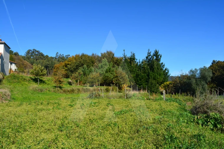 Terreno para Venda em Rocas do Vouga Foto 11