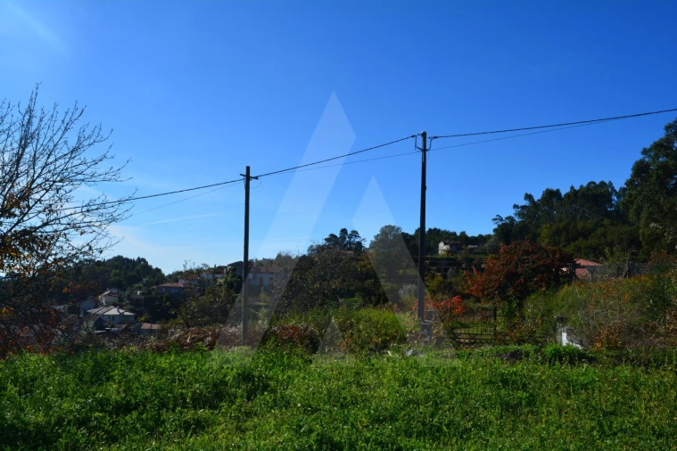 Terreno para Venda em Rocas do Vouga Foto 13