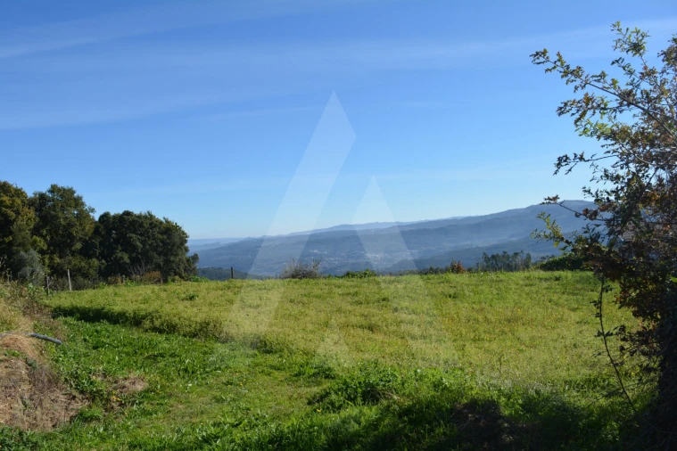 Terreno para Venda em Rocas do Vouga Foto 17
