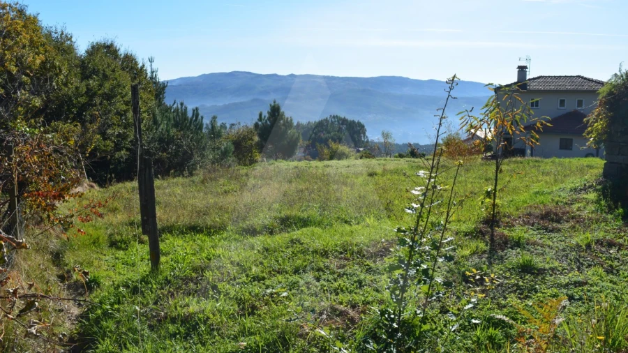 Terreno para Venda em Rocas do Vouga