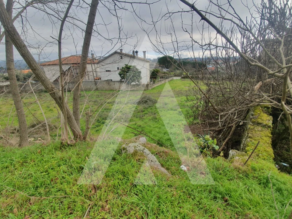Terreno para Venda em Mangualde, Mesquitela e Cunha Alta Foto 7
