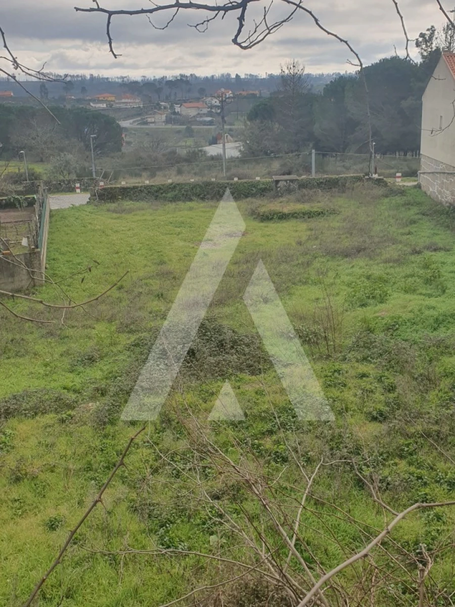 Terreno para Venda em Mangualde, Mesquitela e Cunha Alta Foto 12