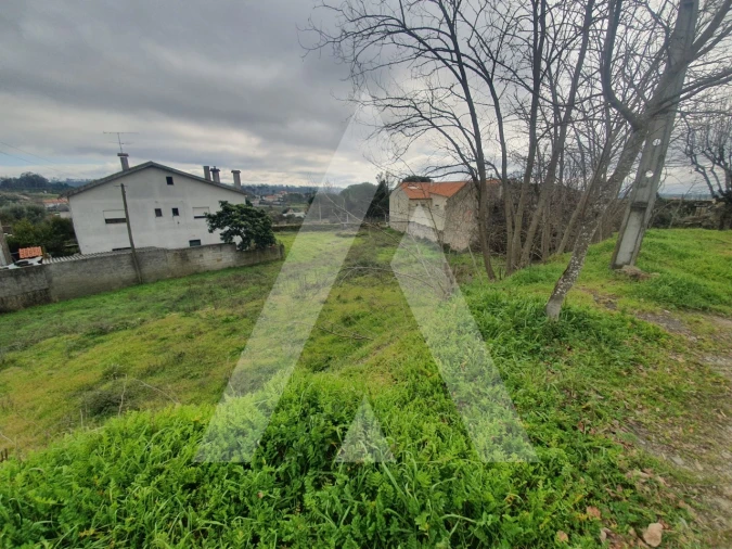 Terreno para Venda em Mangualde, Mesquitela e Cunha Alta Foto 6