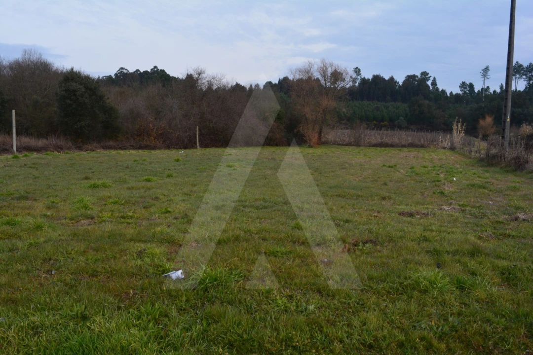 Terreno para Venda em Arcos e Mogofores Foto 3