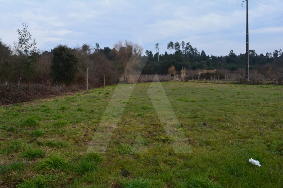 Terreno para Venda em Arcos e Mogofores Foto 5