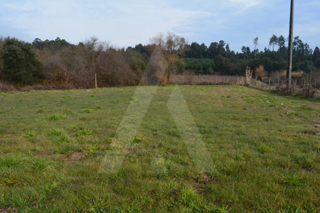 Terreno para Venda em Arcos e Mogofores Foto 7